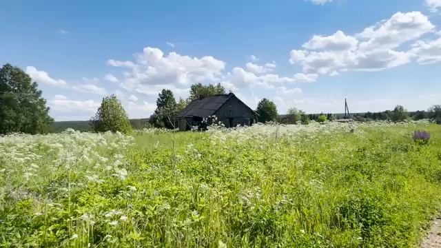 МОЯ ЛАДОНЬ ПРЕВРАТИЛАСЬ В КУЛАК  ФИНАЛ