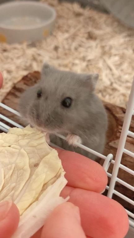 ☺