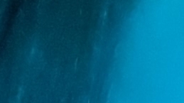 видео из тик тока