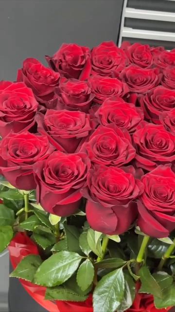 Florista_Lab
