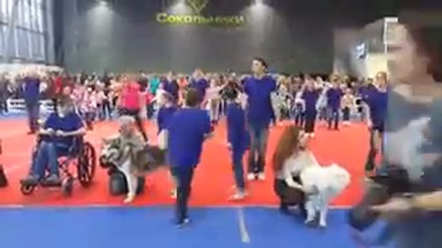 Флэшмоб в Сокольниках