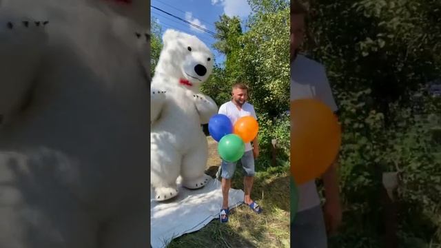 Белый мишка. Поздравления. День рождения у мужчины