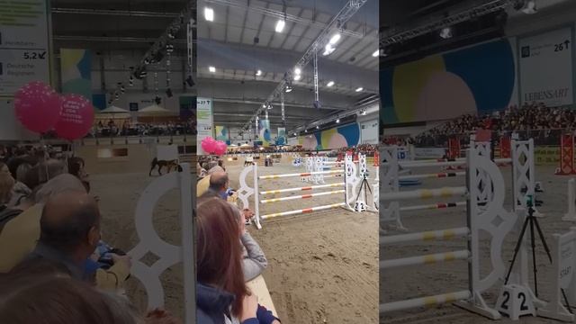 Конкур на Grüne Woche 2024