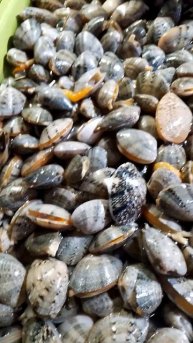 Fresh Seafoods| February 24 2023 #seafoods #freshseafoods #dailyvlog #shorts