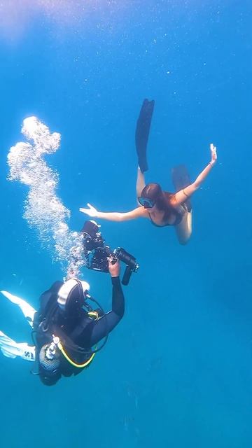 Freediving photography 🐠  #tropical #lifestyle #ocean #diving