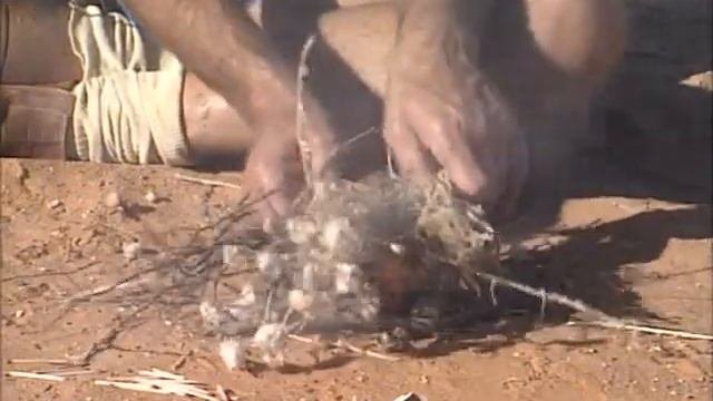 Malcolm Douglas - Australia - Survival In The Outback (Part 2) 1991