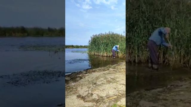 Рыбаки Преголи С улицы Емельянова .....