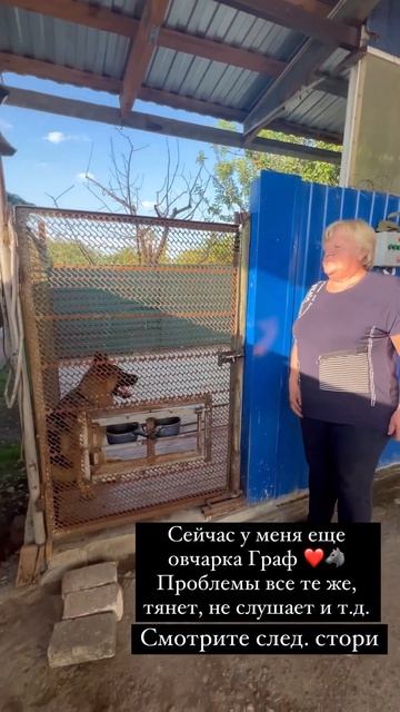 Дрессировка немецкой овчарки на базе зоогостиницы ЕVA г. Краснодар