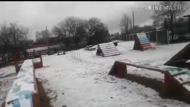 Окд 50 метров, работа жестами