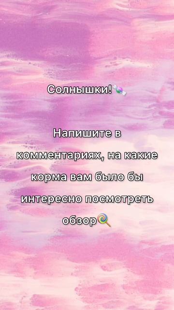 Какой корм давать морским свинкам?🤔 Обсудим👍