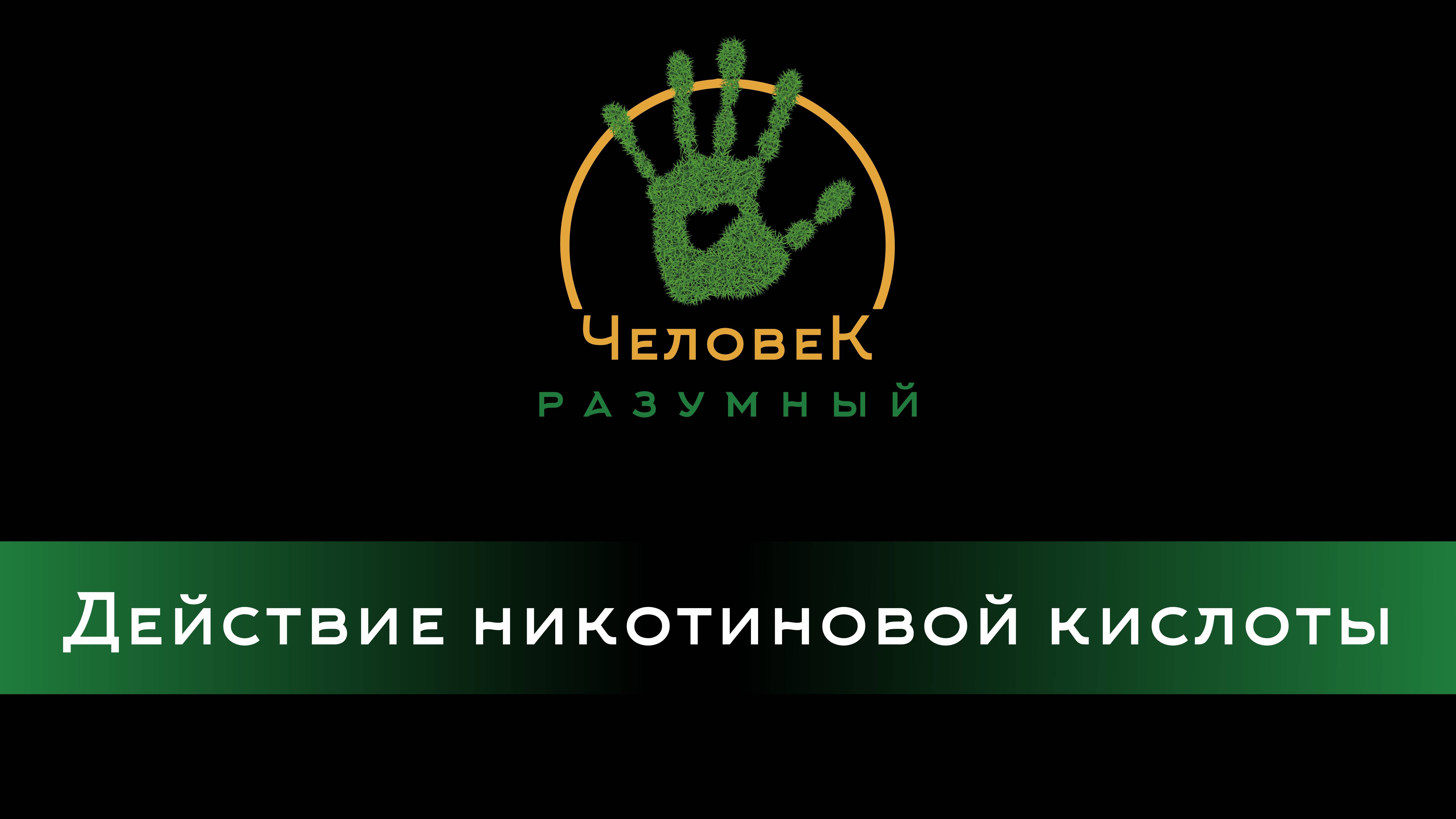 Действие никотиновой кислоты ("Человек-Разумный", 2013)