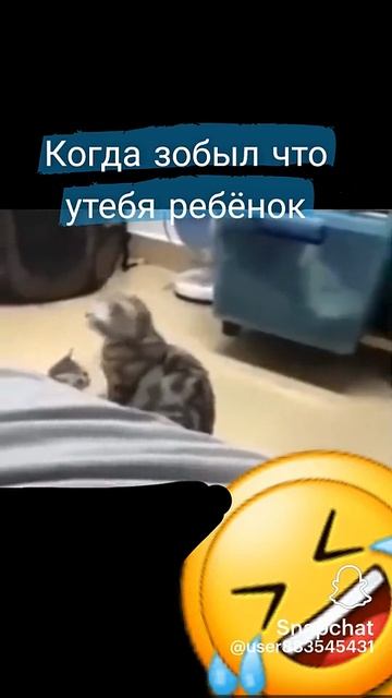 беднийййй.