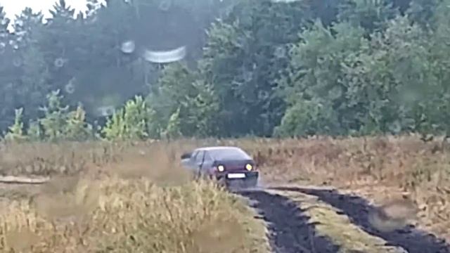 Соболь в работе по полям