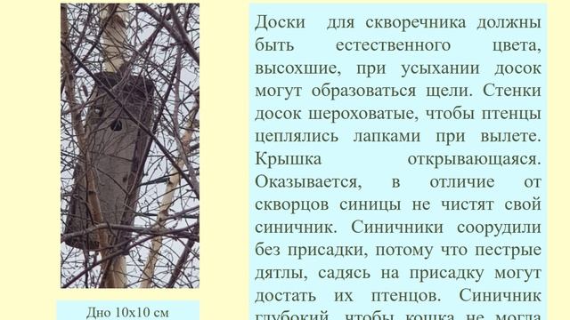 Синицы-биологические защитники садовых растений