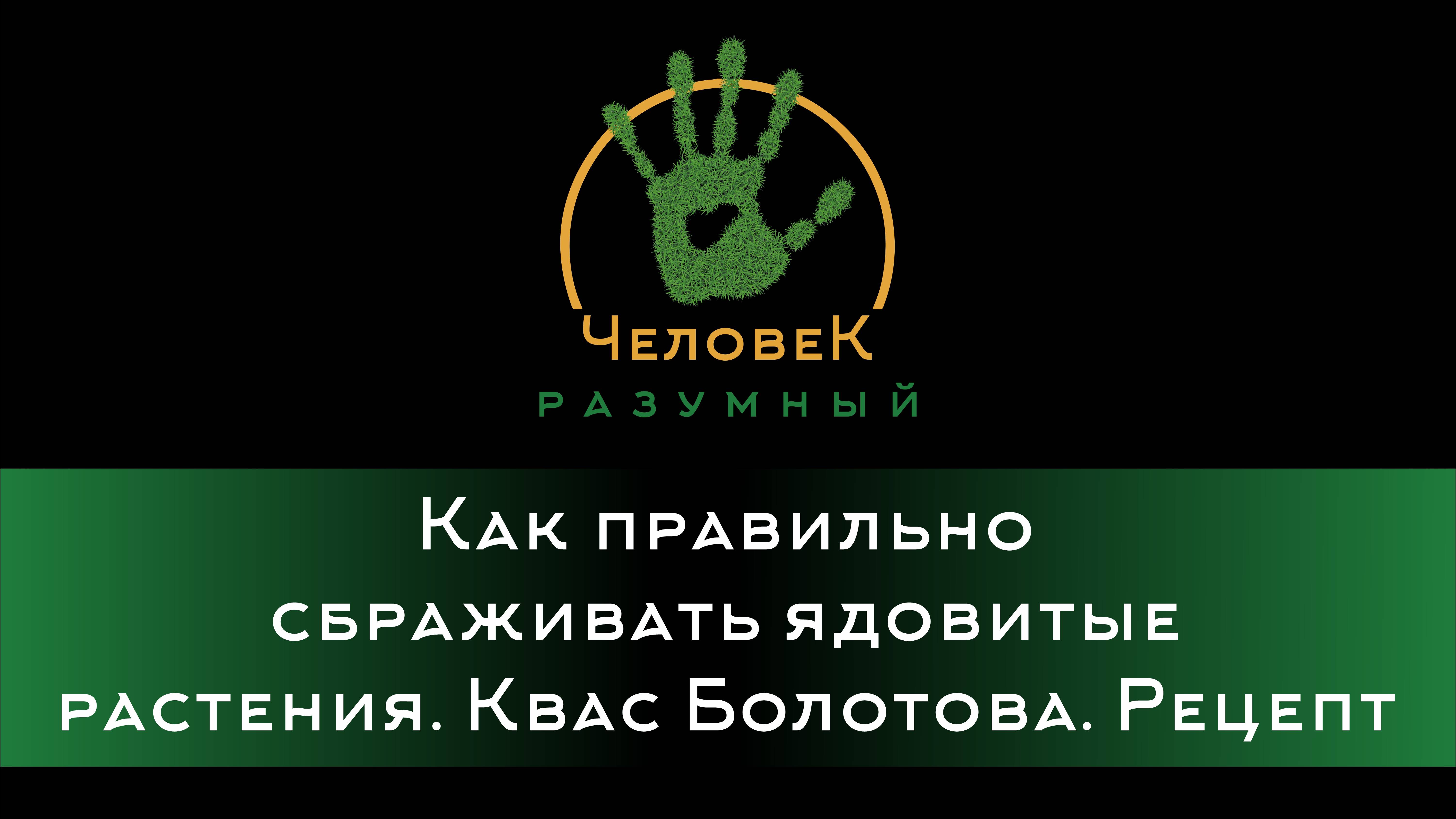 Как правильно сбраживать ядовитые растения. Квас Болотова. Рецепт ("Человек-Разумный", 2013)