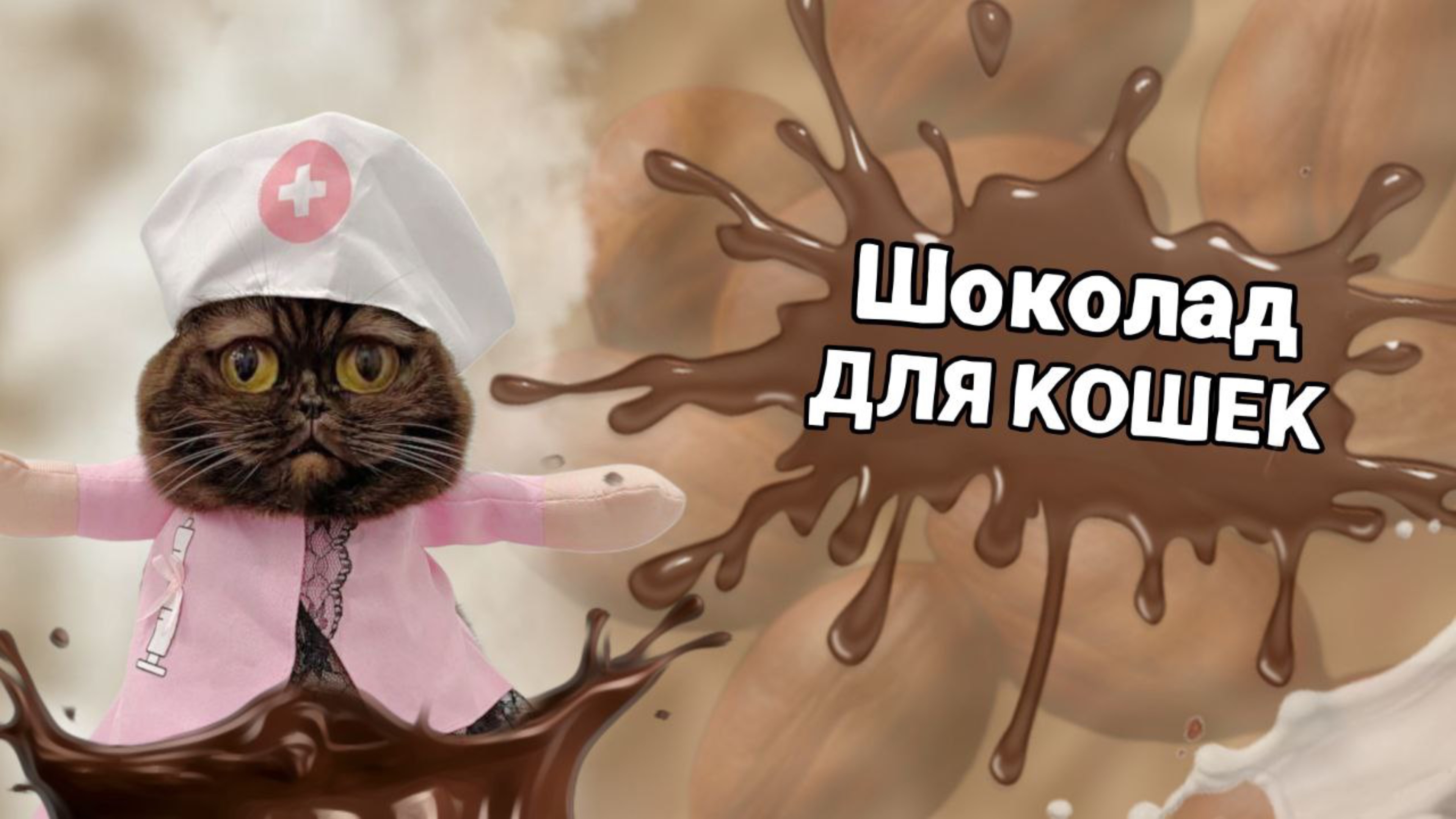 Можно ли котам шоколад? #Питомцы