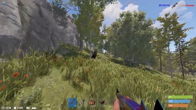 КАБАН В РАСТЕ, БЕЖИТ ОТ ПЕНДАЛЯ, ДОМИНАЦИЯ 😂