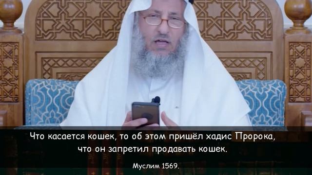 Разрешено ли покупать продавать кошек и собак
