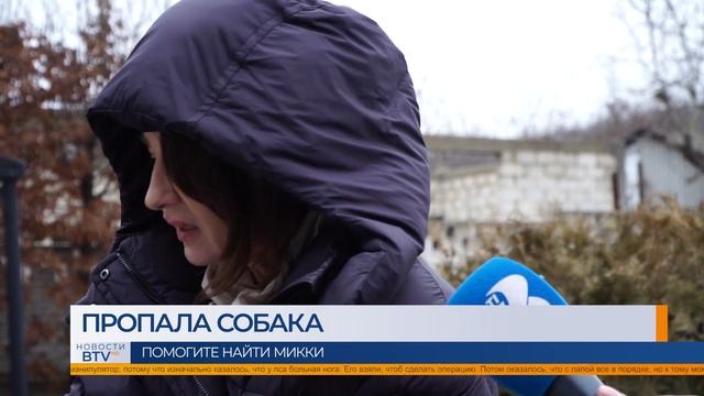 Пропала собака. Помогите спасти жизнь Микки