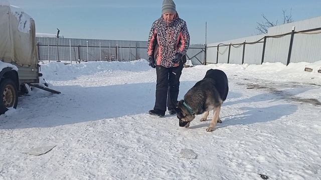 Правильная посадка при подзыве. ( дополнение к предидущему видео)