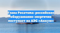 Глава Росатома: российское оборудование энергично поступает на АЭС «Аккую»