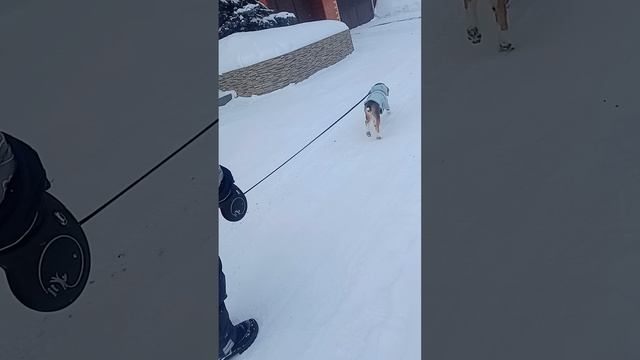 я с одноклассницей