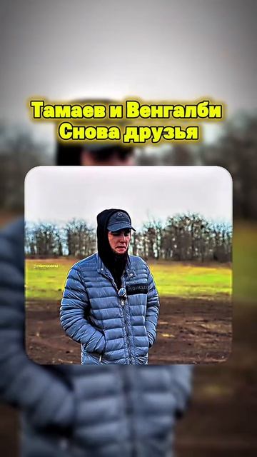 венгалби и тамаев снова друзья