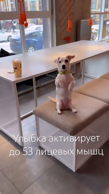Одна улыбка может создать позитивное настроение на весь день! #животныепрекрасны#позитивныеустановк