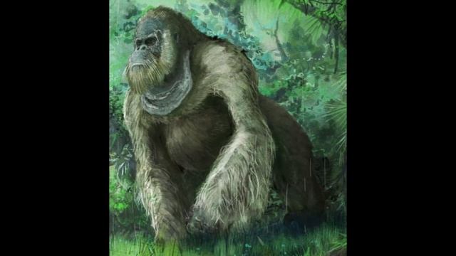 The Real Life King Kong!