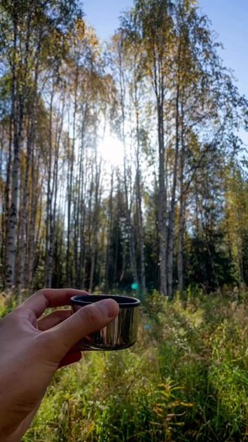 Дикая природа. Лес. А что любишь ты？