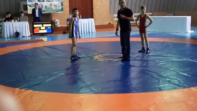 Вольники степногорск