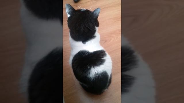 Tom Snubs the Camera