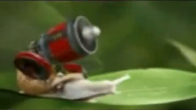 Slow Walker
