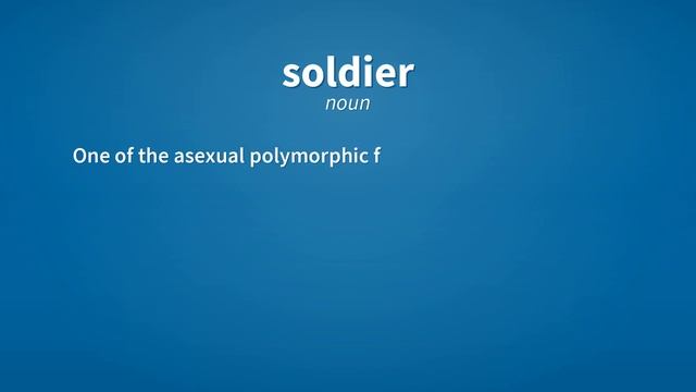 Soldier | Meaning of soldier