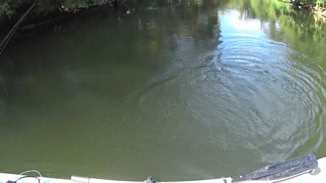 Это Красноперка? Нет это Язь. Рыбалка в красивых местах