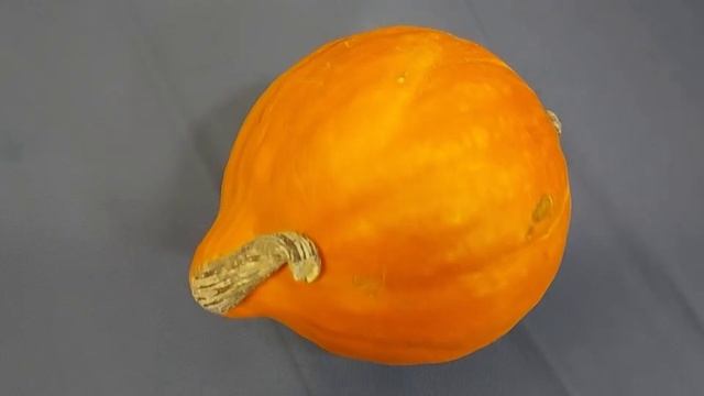 Готовые ТЫКВЫ, (1)
