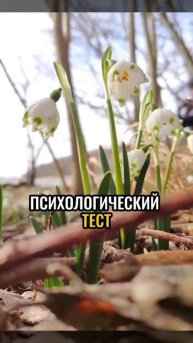 Психологический тест