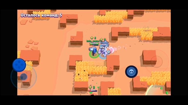 Смешные моменты с Брокколи