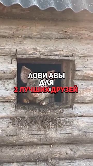 20 ноября 2023 г.