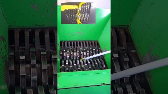 #наука #микроскоп #подмикроскопом #микромир #интересно