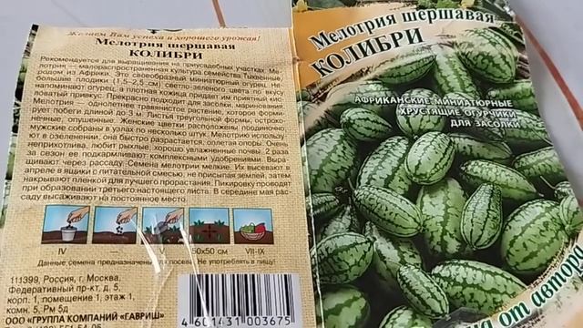 Арбузогуречики-мелотрия, обзор семян.