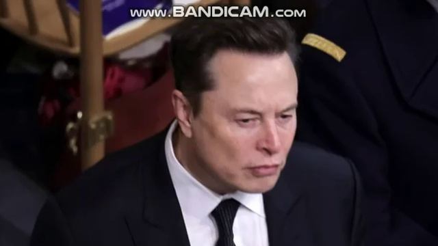 Маск предложил Зеленскому доказать популярность и провести выборы