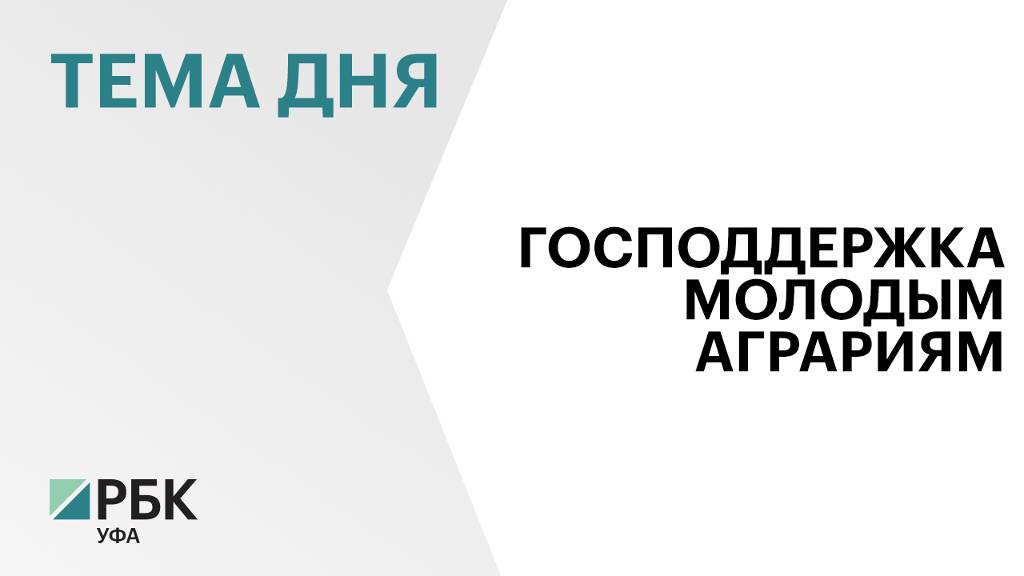 Федеральный центр выделил ₽5 млрд на грантовые программы и субсидии для аграриев Башкортостана