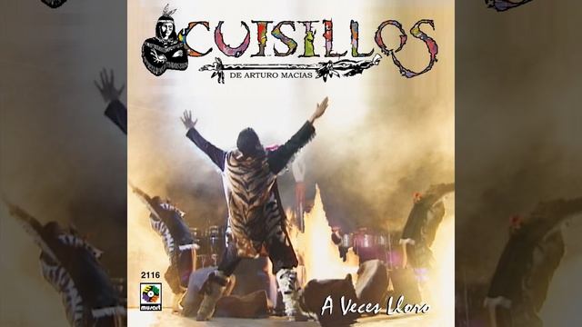 Banda Cuisillos - Un año mas sin ti ( Audio )