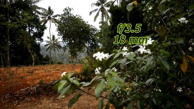 How To Blur Background With 18-55 Kit Lens  |📷📷 Malayalam Photography Tips .#LETSPHOTOWALK