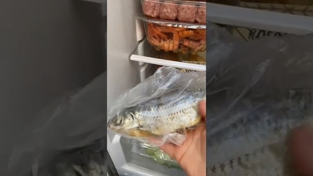 Что в холодильнике моем