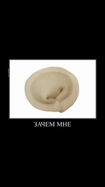 #shorts #мем #мемы #шлепа