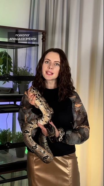 Если ваша голова устала