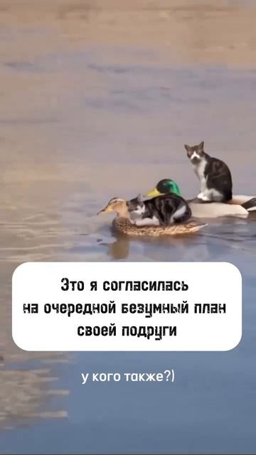 Отправь своей😂