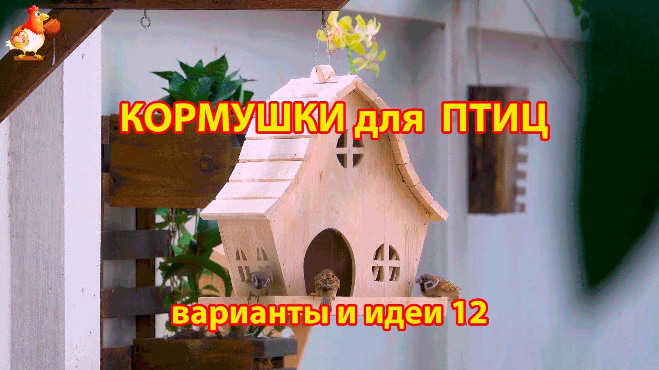 Кормушка для птиц своими руками как сделать пошагово  (12) 🪚🪛🔨 Идеи для дачи и сада❣️